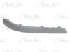 FORD 1360429 Trim/Protective Strip, bumper